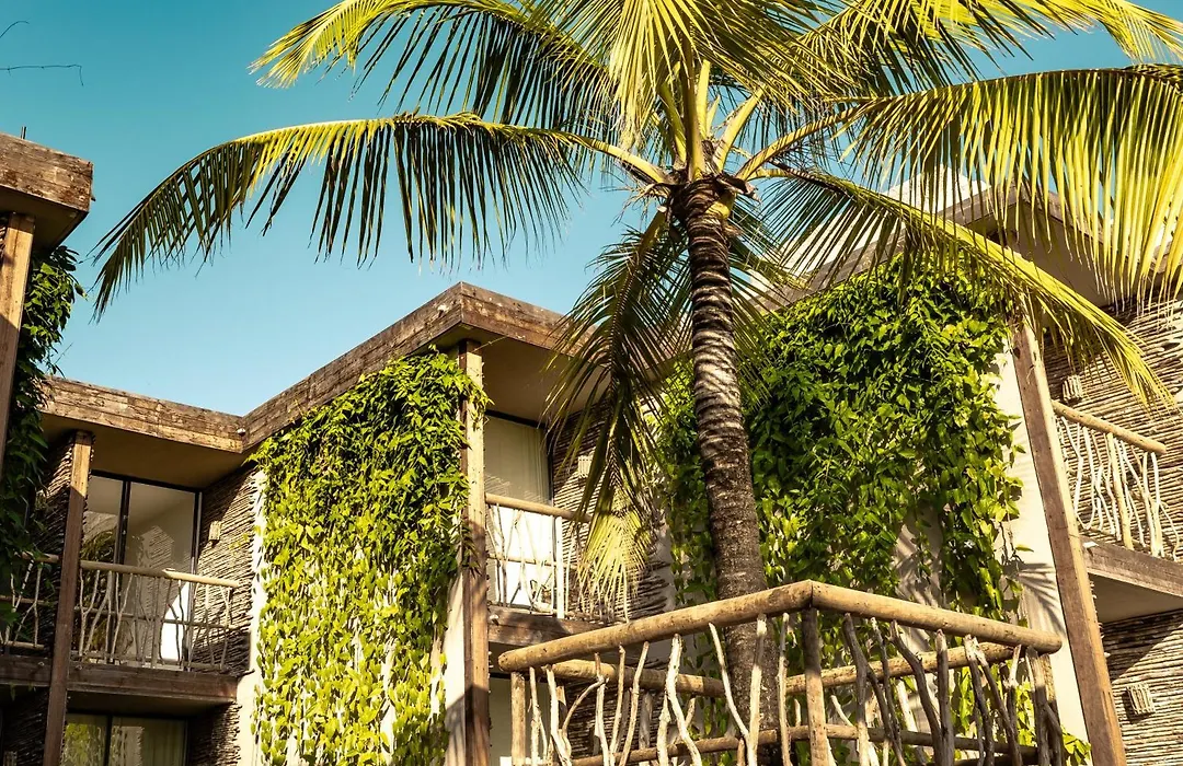 Apenunga Eco Hotel-1